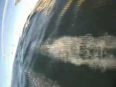 Pakula Lures UW 05 Long and Short Skirts Aerial View