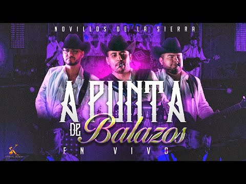 Novillos De La Sierra -  A Punta De Balazos [En Vivo 2023]