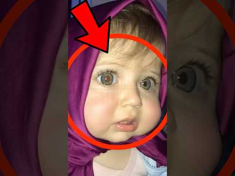 Masha y el Oso Existe en la Vida Real