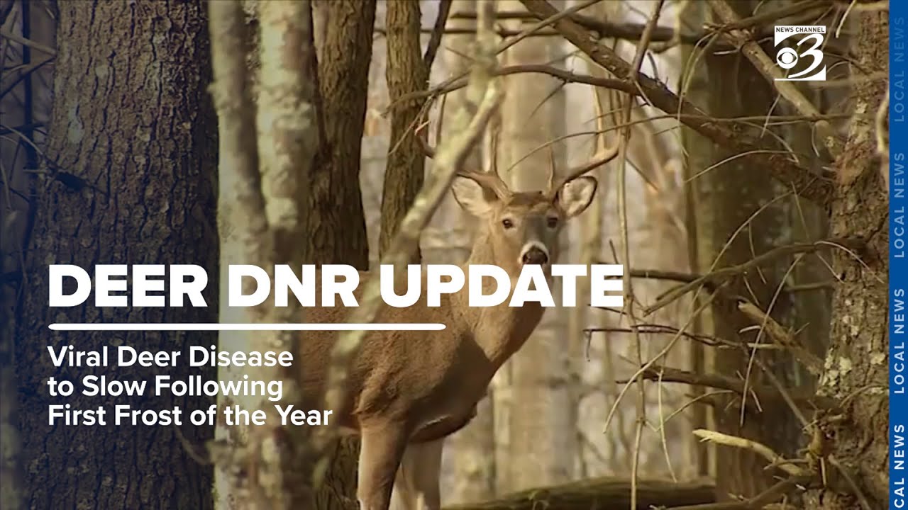 DNR: Viral deer disease to slow following first frost of the year