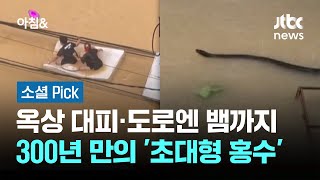 옥상 대피·도로엔 뱀까지…300년 만의 '초대형 홍수' #소셜픽 / JTBC 아침\u0026 }], accessibility