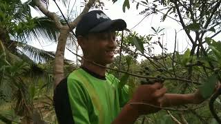 Download lagu DWI PUTRA-BERJUANG DEMI KOWE (spesial music&video)RHUDHAKSHA mp3 Download lagu DWI PUTRA-BERJUANG DEMI KOWE (spesial music&video)RHUDHAKSHA mp3