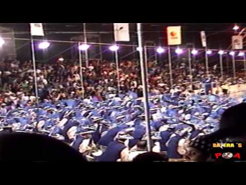 FURIOSA DE VIAMÃO - ESTANDARTE DE OURO 2002 MESTRE PATE