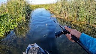 The 4 Quarter Fishing Challenge