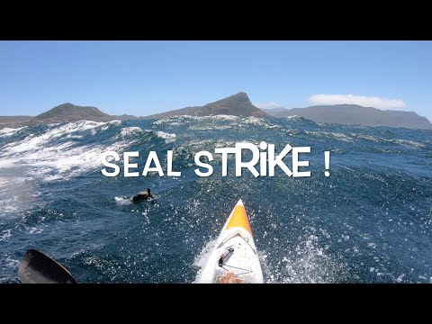 SURF-SKI Millers #60: Seal Clubbing, Submarining & Sex Wax