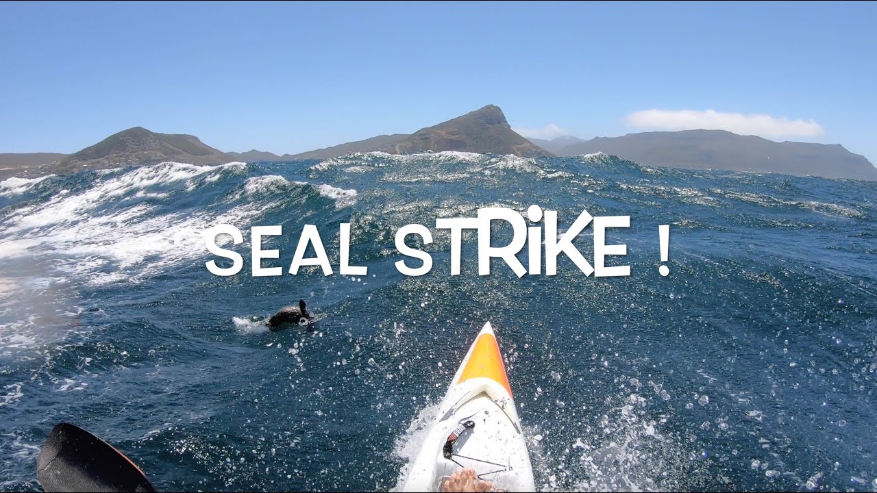 SURF-SKI Millers #60: Seal Clubbing, Submarining & Sex Wax