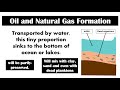 Fossil Fuel Formation  | Lesson 6 | Earth Science