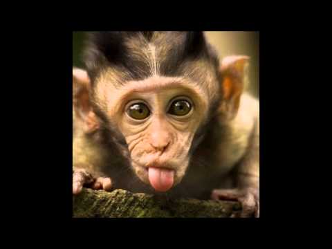 Pumpz - Parimad valikud