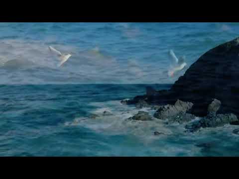 O FRUNTE-NSÂNGERATĂ