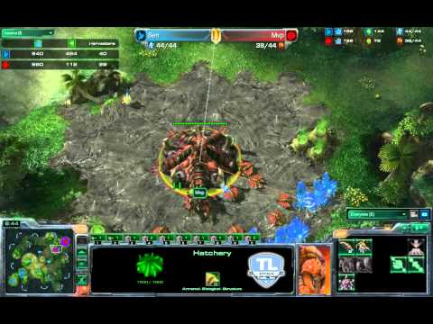 TL Attack! E06 with FnaticMSI.Sen! (Part 1)