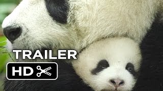 Born In China Official Trailer #1 (2016) - Disneynature Movie HD