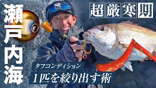 【タイラバ】厳寒期の超タフな状況でも1枚を絞りだす術 / 田邊義雄