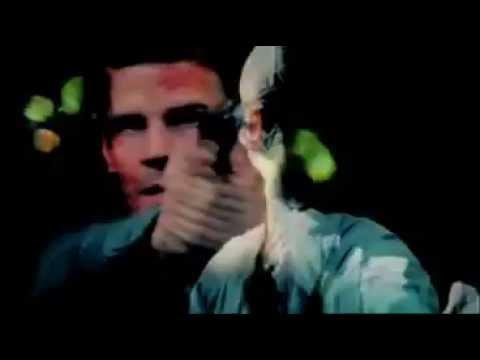 Bones - The Hole In The Heart(2)