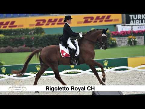 Dressurleistungszentrum Lodbergen Rubin Royal 2016