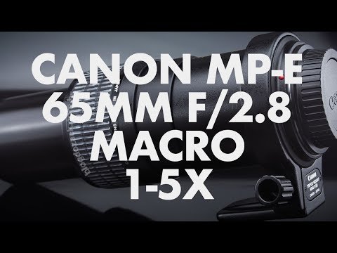 Lens Data - Canon MP E65mm f/2.8 Macro 1-5X Review