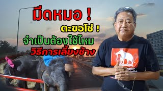 มีดหมอ ตะขอ เปิดใจ ประธานมูลนิธิพระคชบาล 