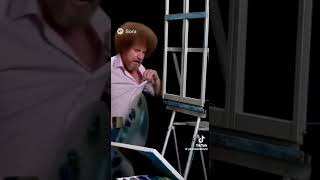 Cover art for Bob Ross crash ou