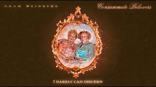 Adam Weinberg - Discern (Trey Anastasio/Phish cover)