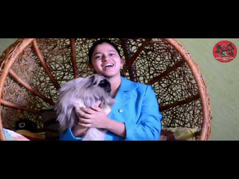 India's famous dog show handler ASHMITA DUTTA #doghandler #dogshow #petslover #animalsandpets