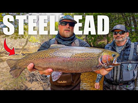 Spring Steelhead Fishing in Michigan | River Float Fishing Steelhead 2025