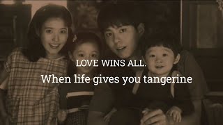 Download lagu IU - LOVE WINS ALL । When life gives you tangerine fmv mp3 Download lagu IU - LOVE WINS ALL । When life gives you tangerine fmv mp3