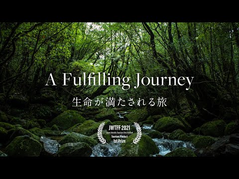 [屋久島 | Yakushima] A Fulfilling Journey | 生命が満たされる旅 [Promotion] [4K]