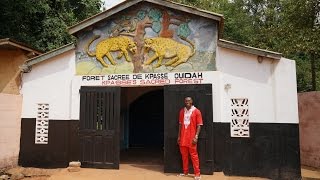 Live.Love.Africa: Tour of the Sacred Forest Ouidah Benin