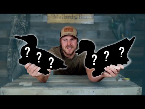BEST DECOYS EVER??