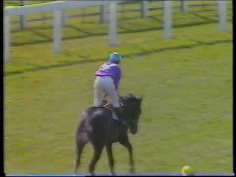 1983 Coventry Stakes Chief Singer Includes Post Race Replays & Enclosure