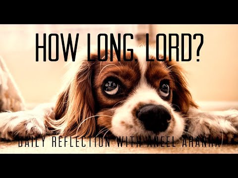 Daily Reflection with Aneel Aranha | Luke 18:1-8 | October 20, 2019