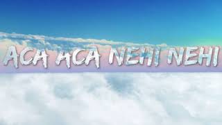 Download lagu Dadido - Aca Aca Nehi Nehi (Lirik) #DADIDO #nagaswaraofficial #tiktok mp3