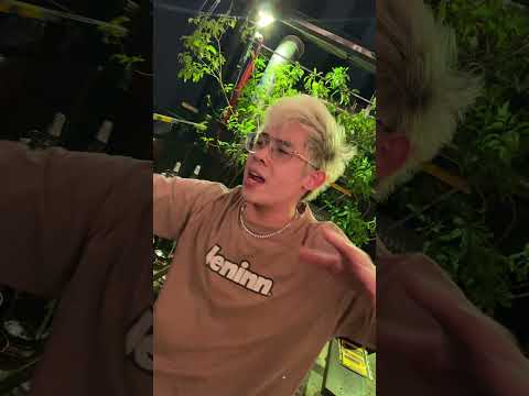 FLYTEAM x TRAPHAO - SẢNG (freestyle)(lost tape)