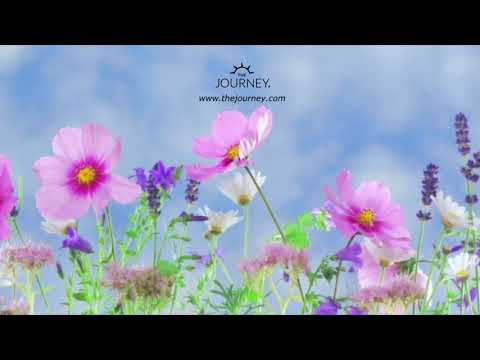 Daily Healing Meditation #13