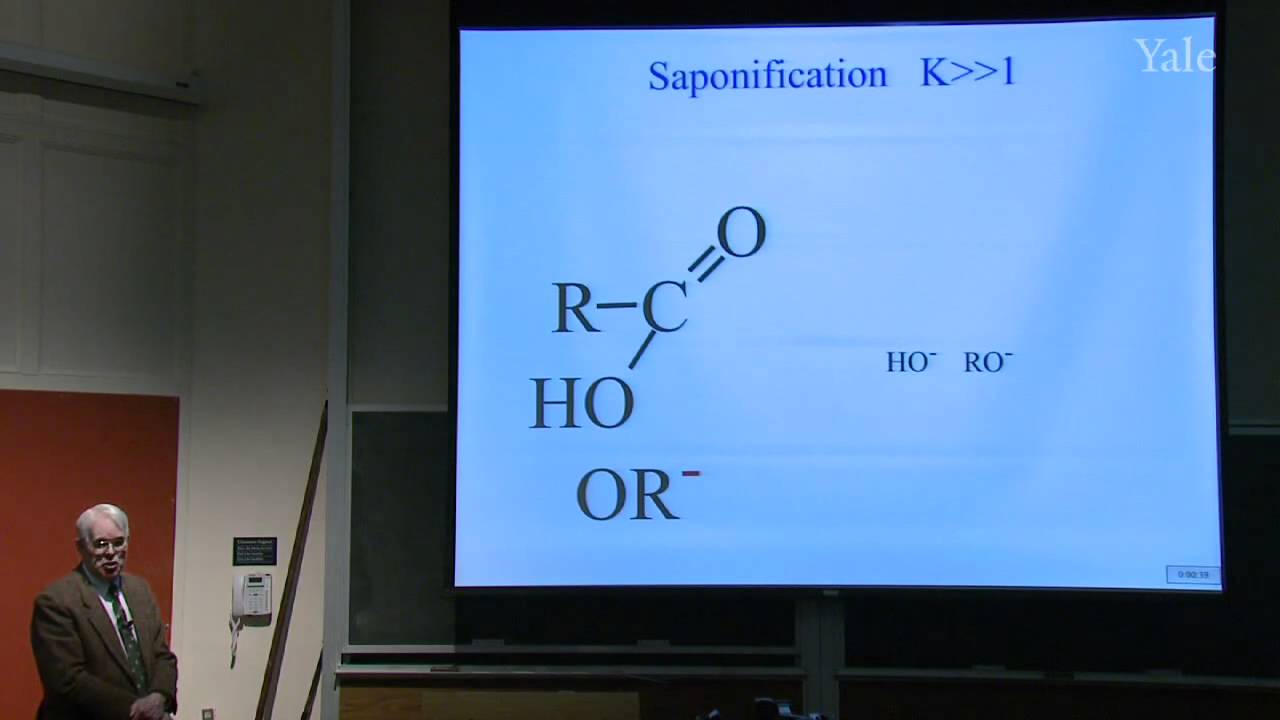 Acids and Acid Derivatives