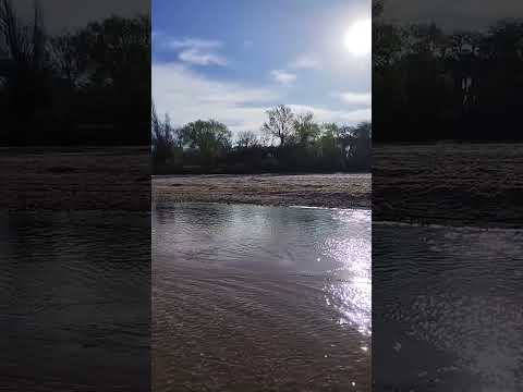 arroyo de los patos.