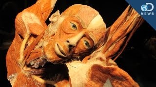 Body Worlds: Donating Your Body to Science