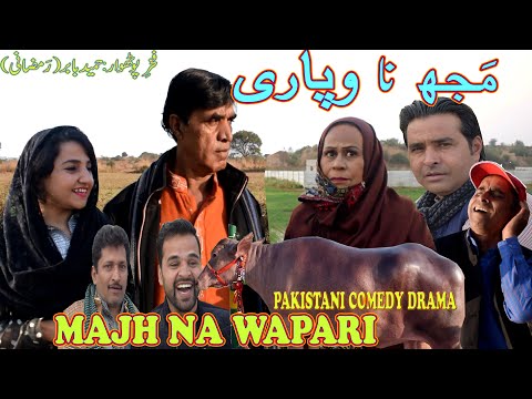 Majh da Wapari -  funny Pothwar Drama - Hameed Babar - Masi Bakhto te Ramzani - comedy skit 2022