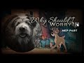 Why Should I Worry Tramp MEP PART