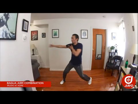 Bagua Arm Combination - Wushu At Home with Brandon Sugiyama