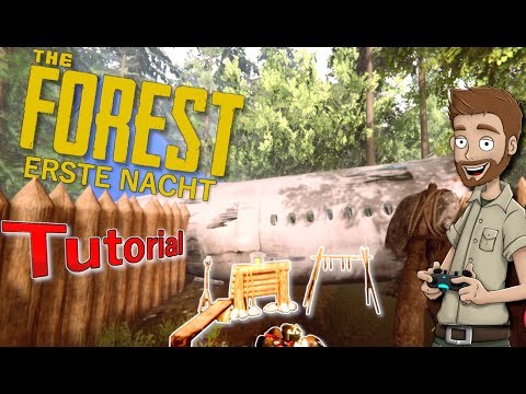 The Forest Tutorial: Erste Nacht | Verteidigungs-Base bauen | Anfänger Guide Deutsch | 2021