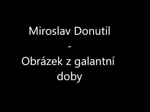 Miroslav Donutil - Obrázek z galantní doby