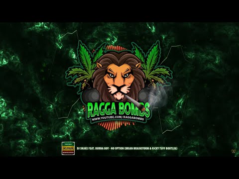 DJ Snake feat. Burna Boy - No Option (Brian Brainstorm & Ricky Tuff Bootleg)