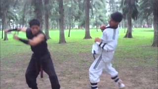 Download lagu STREET FIGTHER  NINJA VS. TAEKWONDO mp3