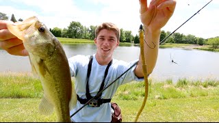 Fishing BIG Worms for Pond Bass