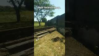 Download lagu Noni belanda benteng pendem ngawi #viral #ngawi #hororterbaru2023 mp3