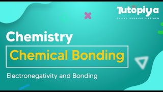 Electronegativity and Bonding