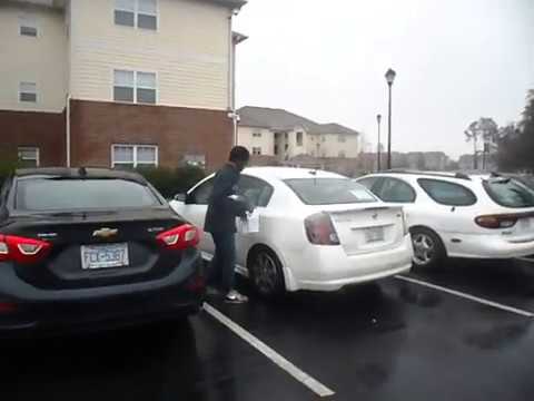 TIGER JUNIOR--HOME FOR THE HOLIDAYS--12.14.2018