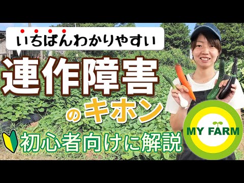 エンダイブについて詳しく解説