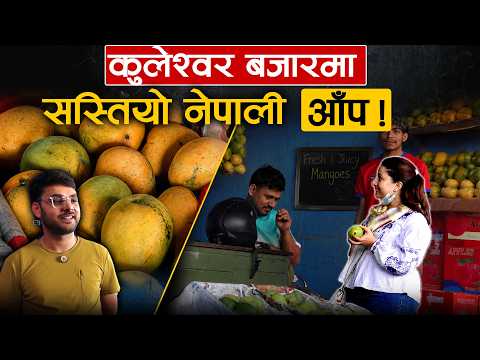 असार नलाग्दै बजारमा नेपाली आँप– 'ओभर सप्लाई'ले मूल्य घट्यो, कतिमा हुँदैछ किनबेच ? [भिडियो]