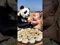 The red panda and the baby are fighting over the dumplings. They taste so delicious and so cute! R